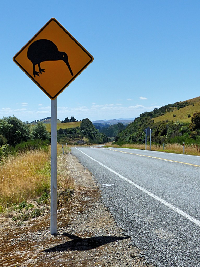 Kiwi Crossing For Cee's Which Way Challenge