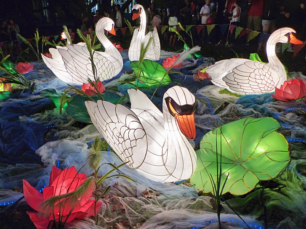 Swan Lanterns