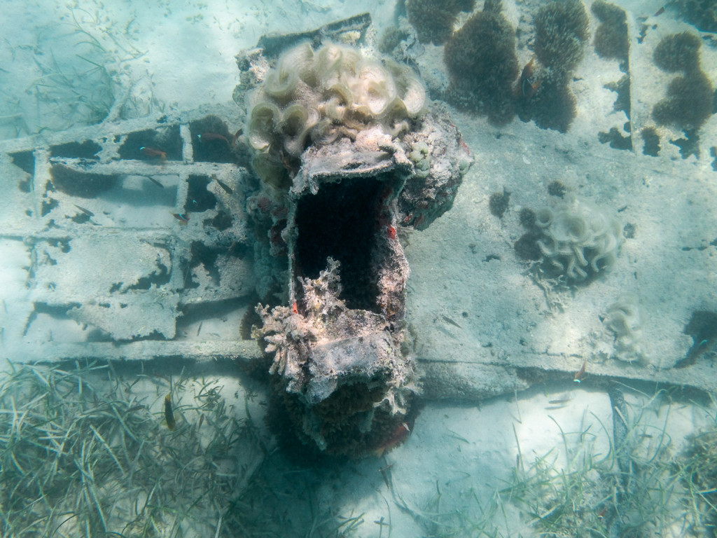 WWII Wreck - Tail Section