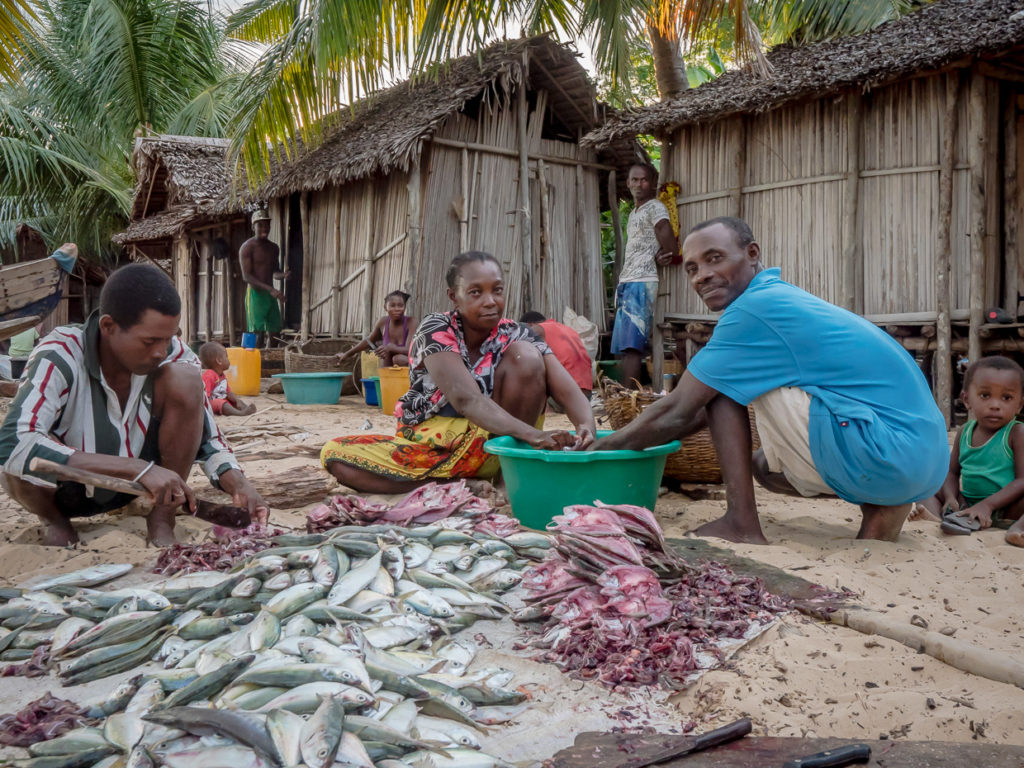 Local Villagers Cleaning Fish In Front Of Village Huts Nosy Mamoko Madagascar