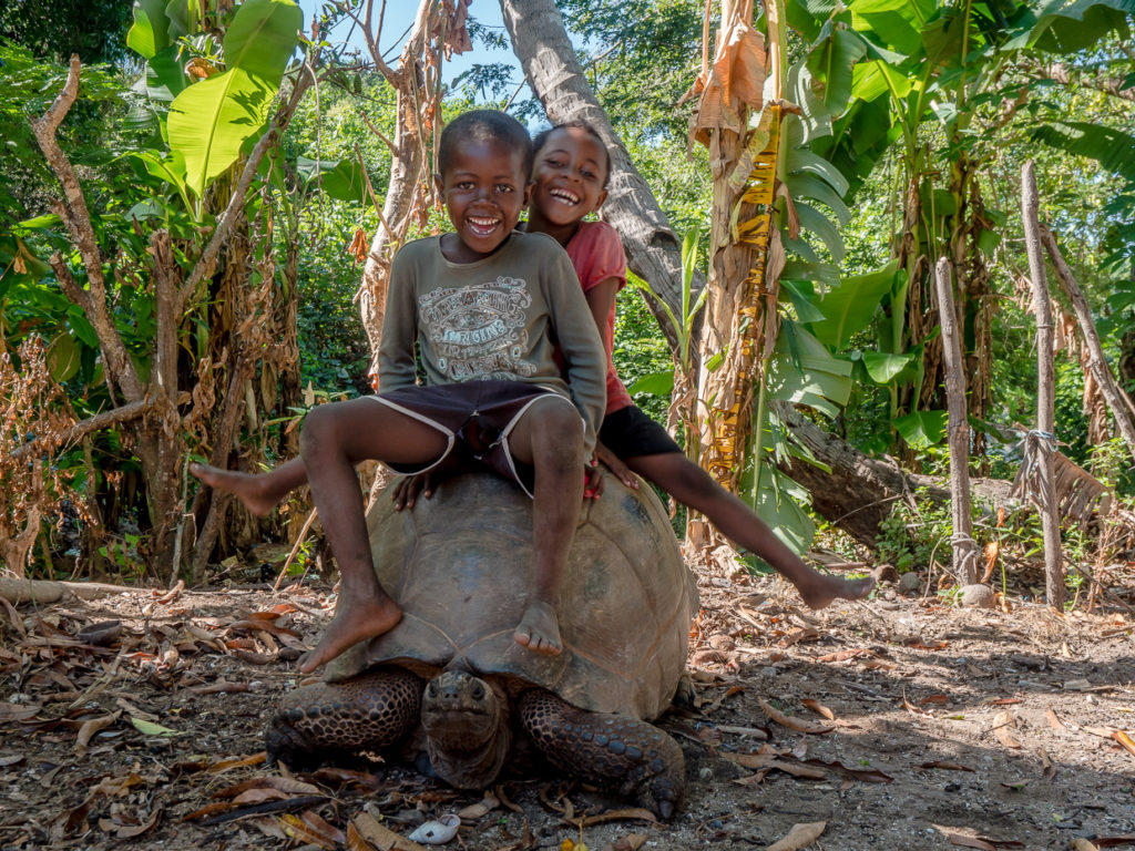 Laughing Children Riding On The Back of Giant Tortoise In Madagascar