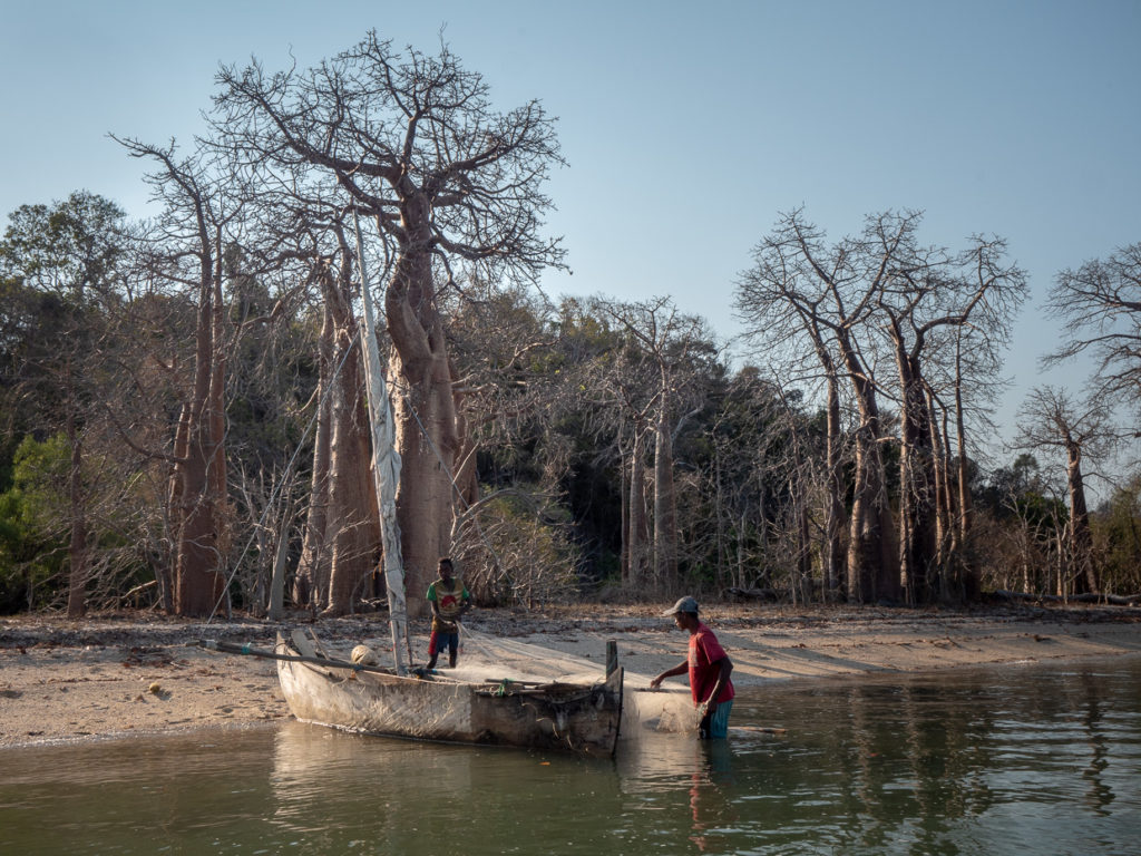 Fishermen With Nets On Beach Lined with Baobabs Madagascar