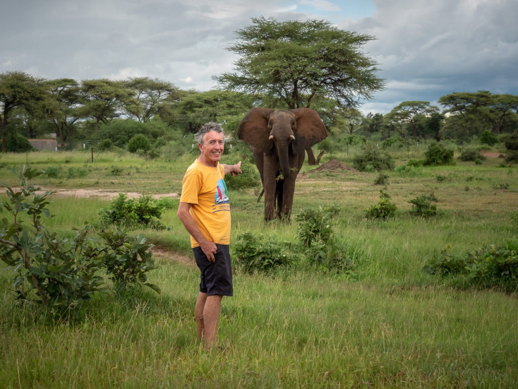 Friendly Elephant with handsome man nearby in Botswana