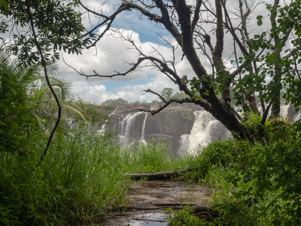 Victoria Falls viewed at a distance along a wooded path in Zambia