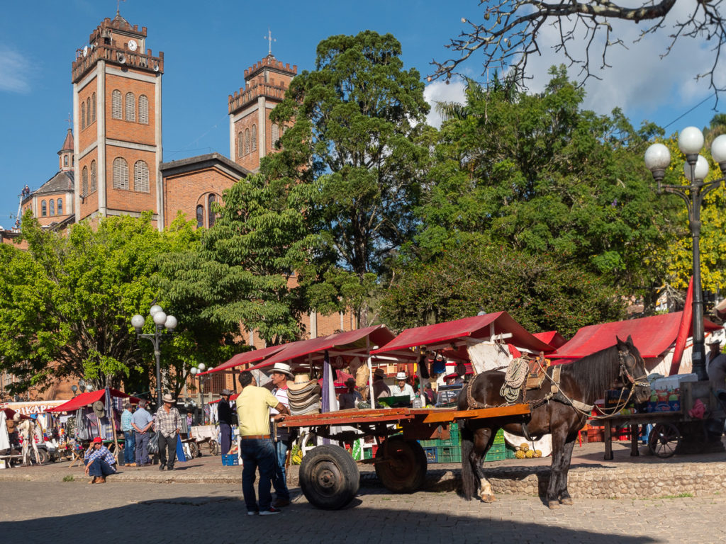 Horse drawn cart in front of Jerico Weekend Marketplace