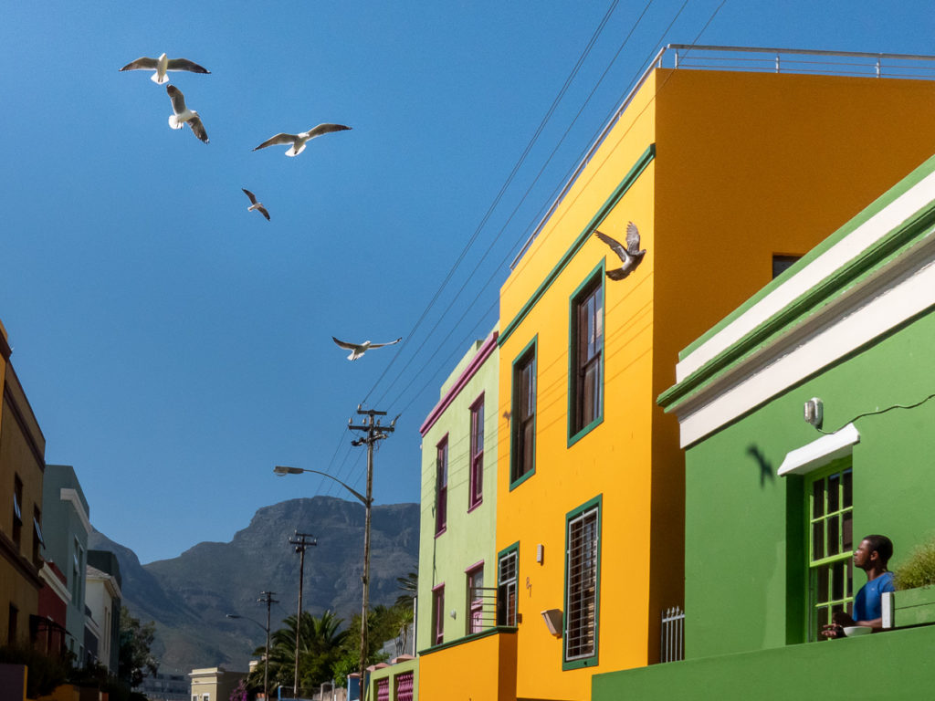 Man Watching Birds Fly Up Dorp Street In The Bo Kaap